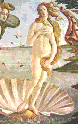 Botticelli, Geburt der Venus, 46KB